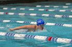 Swimming & Diving vs Babson  Swimming & Diving vs Babson College. - Photo by Keith Nordstrom : Wheaton, Swimming